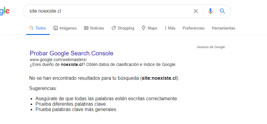 indexación de sitio web en Google